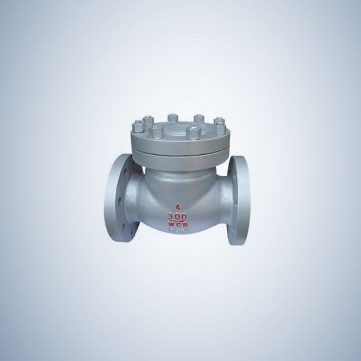 Cast Steel Flanged Swing Check Valve