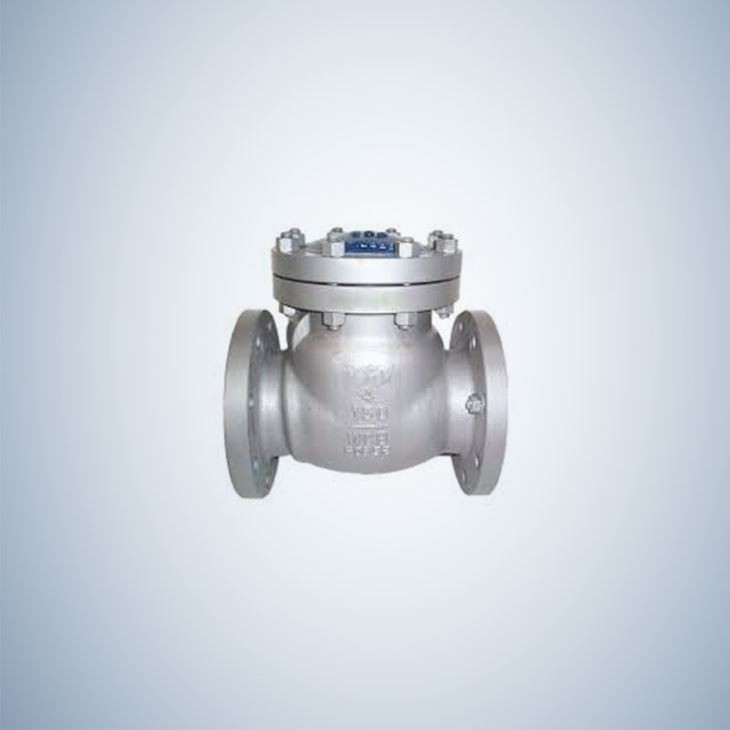 Cast Steel Swing Check Valve