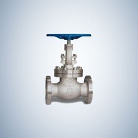 Casting B.B Flanged Globe Valve
