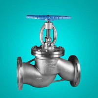 Casting Stainless Steel Bellows B.B Globe Valve