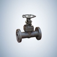 Forged Steel Flanged B.B Globe Valve