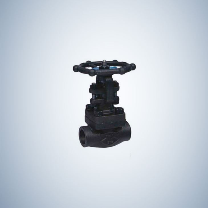 Forging Steel Socket Weld B.B Globe Valve
