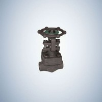 Manual Casting Socket Weld B.B Globe Valve