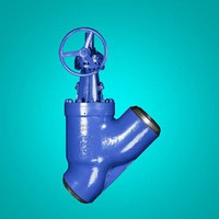 Manual High Pressure Y Type Globe Valve