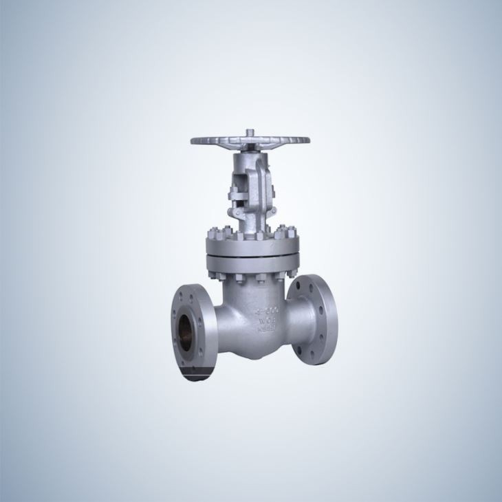 Stainless Steel Flange Casting B.B Gate Valve