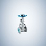 WCB Stainless Steel Casting B.B Gate Valve